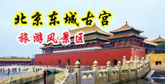 天天想被鸡巴插好舒服哦视频中国北京-东城古宫旅游风景区